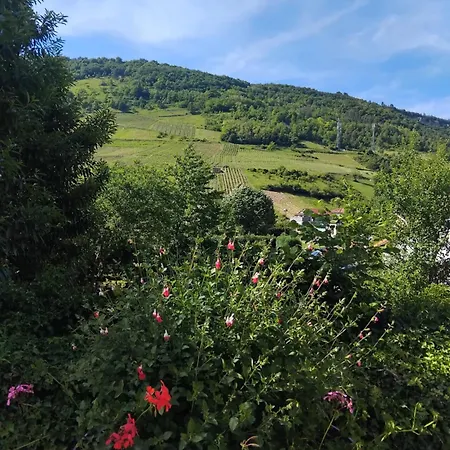 Le Petit Cocon Bed & Breakfast